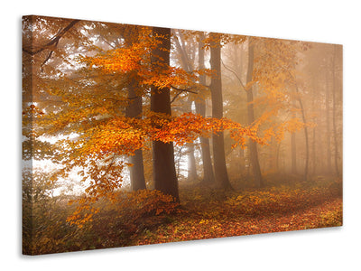 canvas-print-edge-of-the-woods