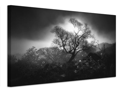 canvas-print-fog-scene-x