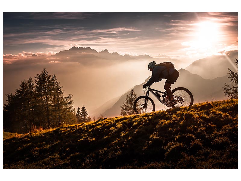 canvas-print-golden-hour-biking-x