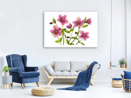 canvas-print-helleborus-x-hybridus-tutu-x