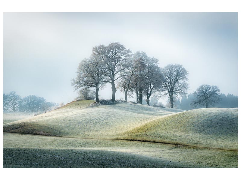 canvas-print-it-is-not-in-tuscany-x