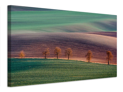 canvas-print-moravian-landscape-x