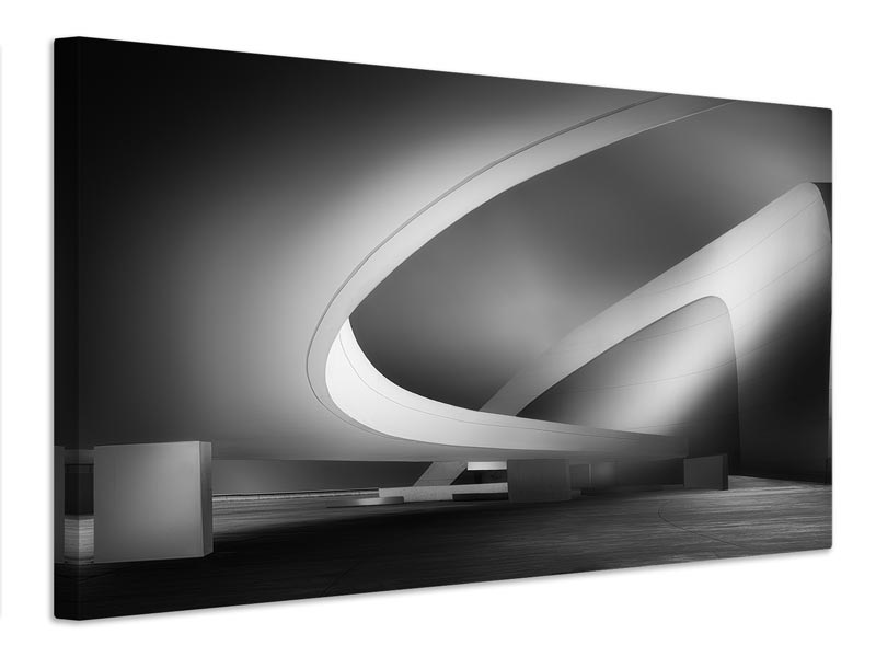 canvas-print-niemeyer-art-x