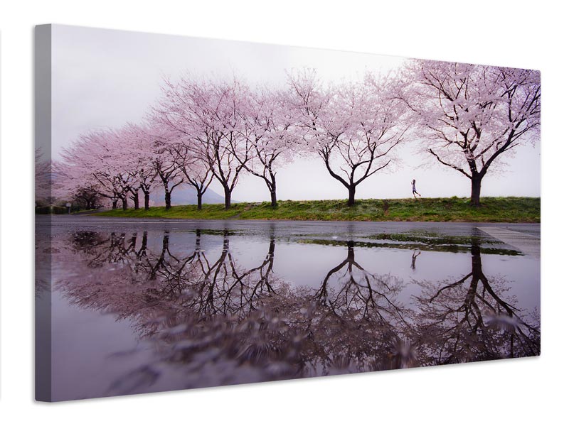 canvas-print-rain-of-spring-x