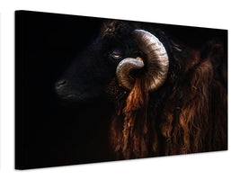 canvas-print-ram-portrait-x