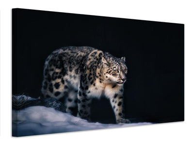 canvas-print-snow-leopard-x