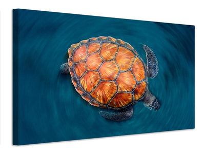 canvas-print-spin-turtle-x
