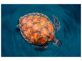 canvas-print-spin-turtle-x