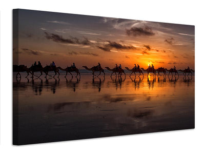 canvas-print-sunset-camel-safari-x