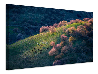 canvas-print-sunset-in-the-primitive-wild-apricot-forest-x