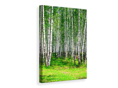 canvas-print-the-birch-forest-in-summer