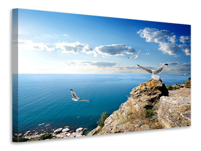 canvas-print-the-seagulls-and-the-sea