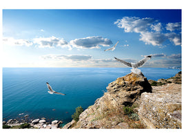 canvas-print-the-seagulls-and-the-sea