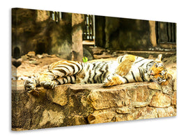 canvas-print-the-siberian-tiger