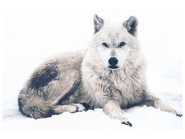 canvas-print-the-wolf