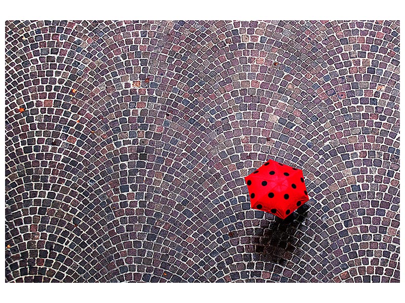 canvas-print-urban-ladybug-x