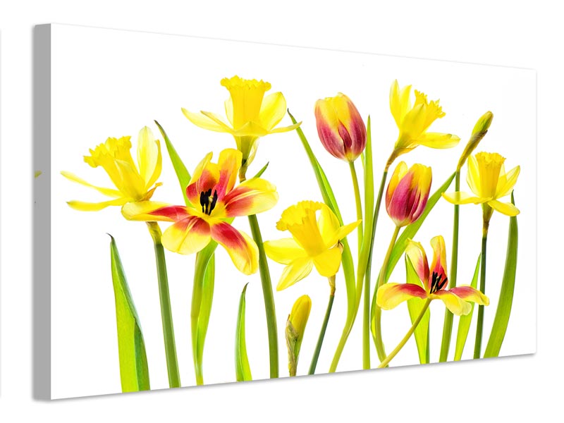 canvas-print-vibrant-spring-x