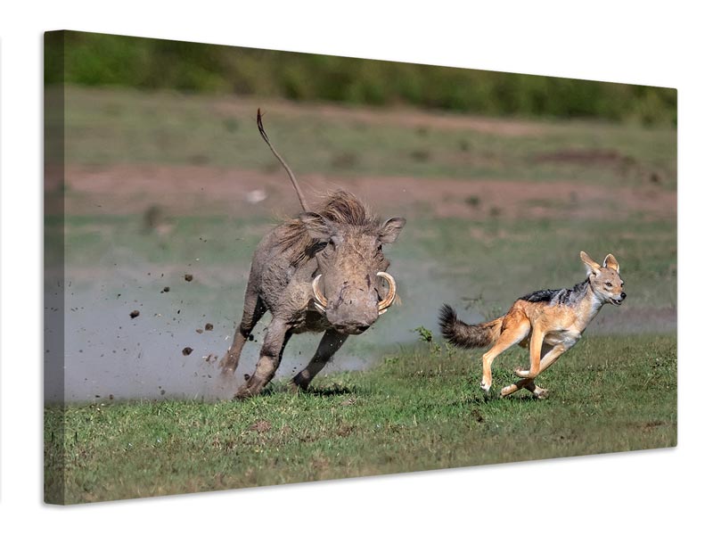 canvas-print-warthog-vs-jackal-x