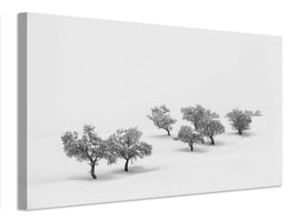 canvas-print-white-carpet-x