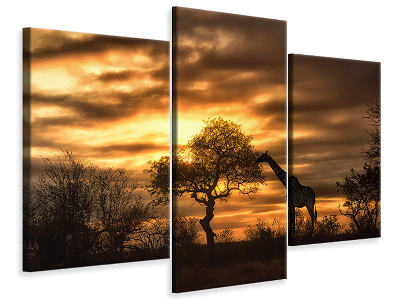 modern-3-piece-canvas-print-african-dreams