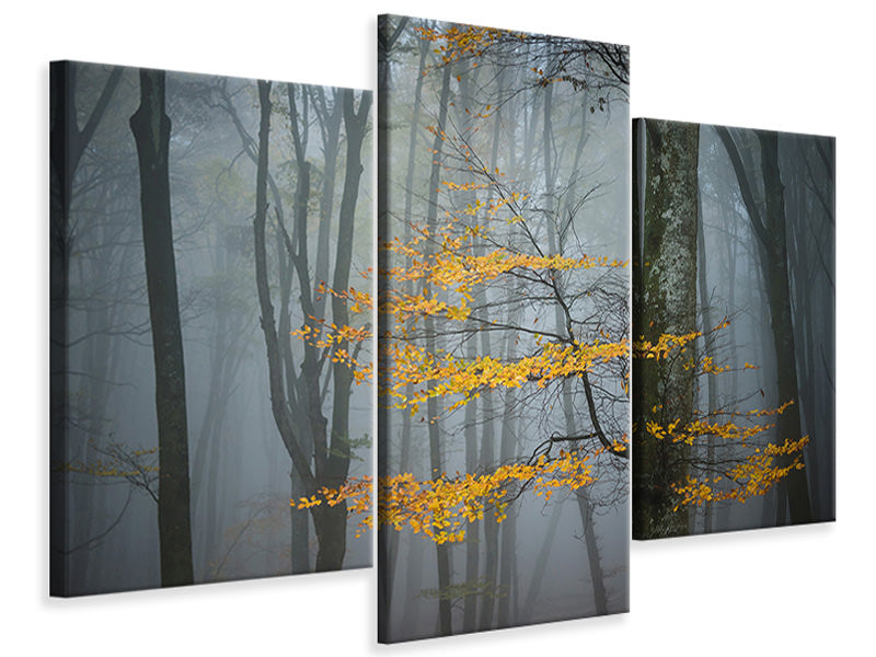 modern-3-piece-canvas-print-beech-forest-in-autumn