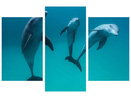 modern-3-piece-canvas-print-bottlenose-dolphins-ii