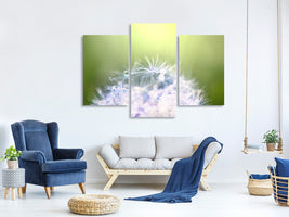 modern-3-piece-canvas-print-dandelion-xl-in-morning-dew