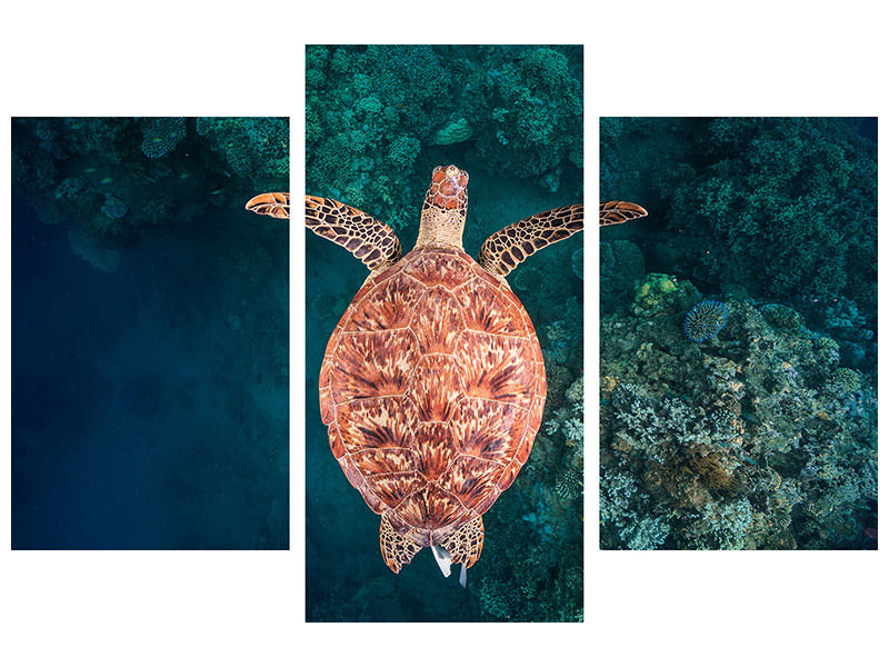 modern-3-piece-canvas-print-flying-over-the-reef