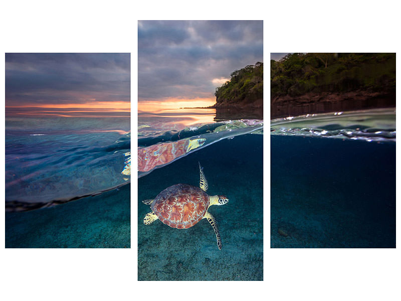 modern-3-piece-canvas-print-green-turtle-with-sunset