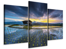 modern-3-piece-canvas-print-light-in-rice