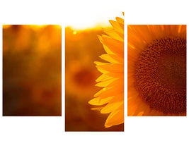 modern-3-piece-canvas-print-macro-sunflower