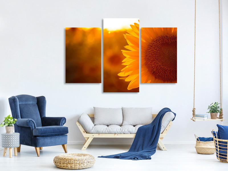 modern-3-piece-canvas-print-macro-sunflower