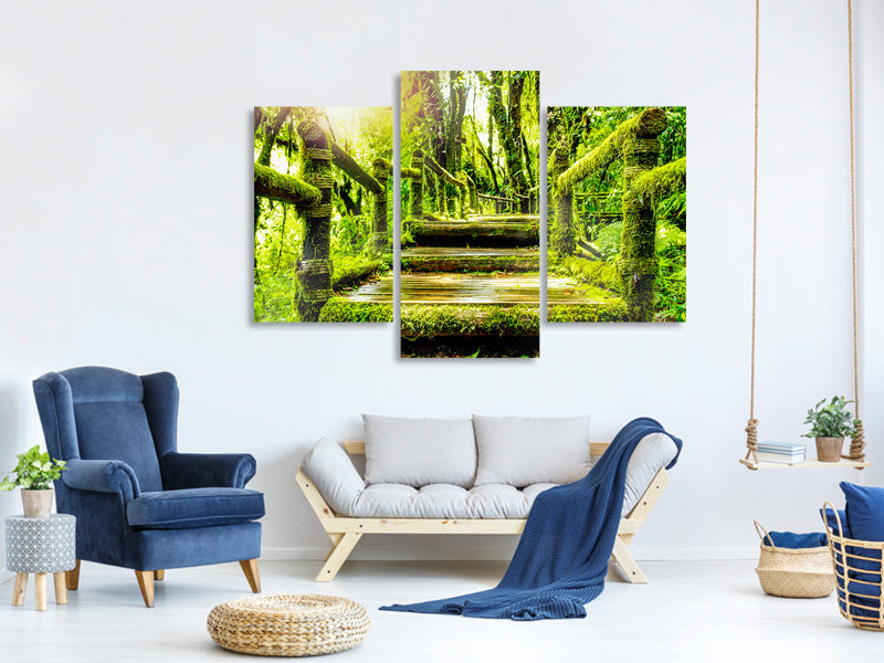 modern-3-piece-canvas-print-moss