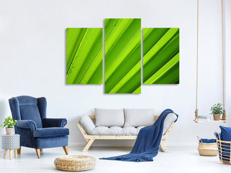 modern-3-piece-canvas-print-palm-stripes-ii