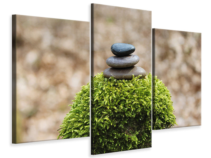 modern-3-piece-canvas-print-stone-pile-on-plant