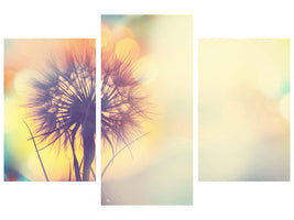 modern-3-piece-canvas-print-the-dandelion-in-the-light