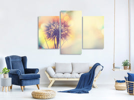 modern-3-piece-canvas-print-the-dandelion-in-the-light