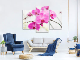 modern-3-piece-canvas-print-the-symbol-of-orchid