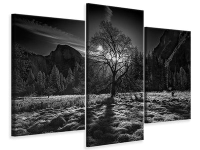 modern-3-piece-canvas-print-the-winter-spirit