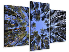 modern-3-piece-canvas-print-under-high-treetops