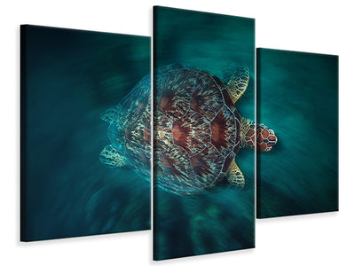 modern-3-piece-canvas-print-valocity-turtle