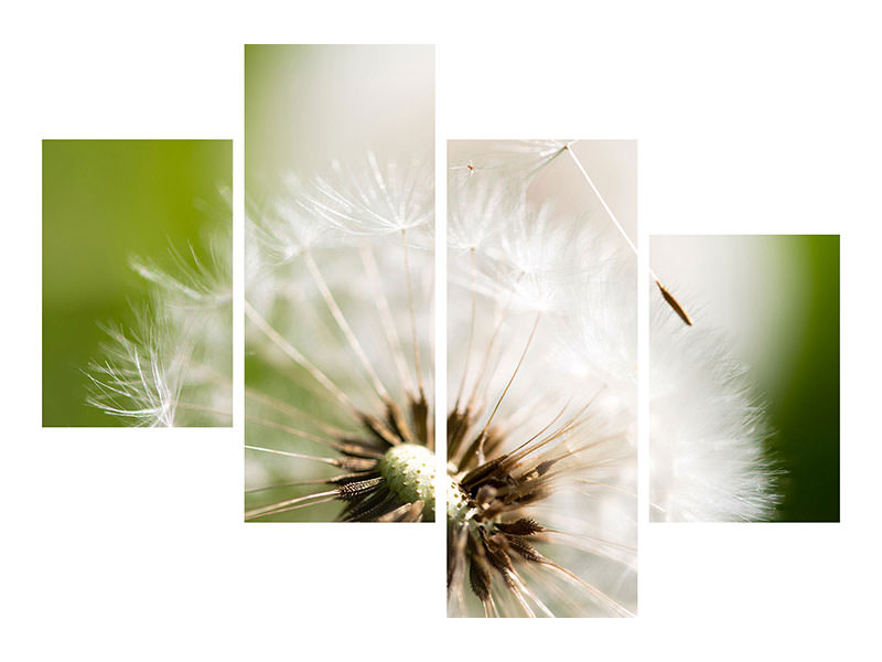 modern-4-piece-canvas-print-blowball-dandelion