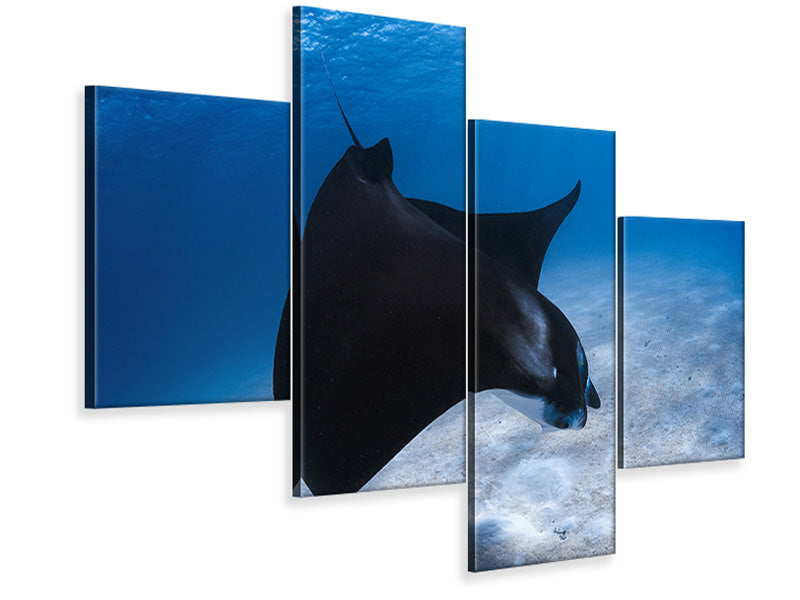 modern-4-piece-canvas-print-dancing-manta