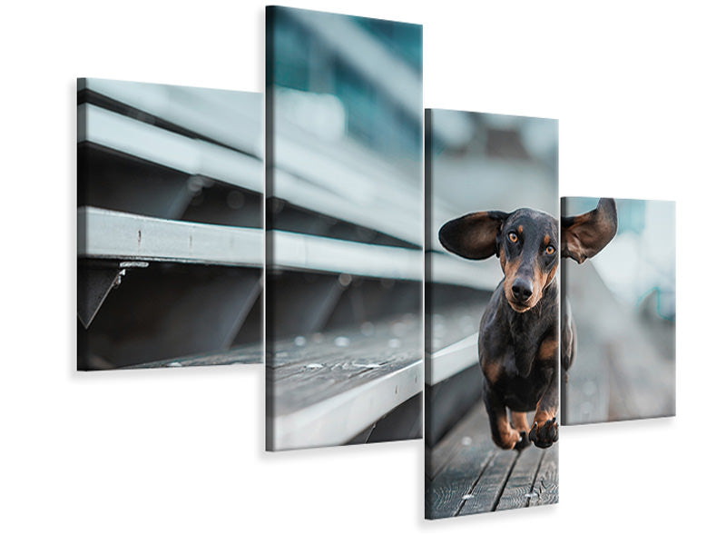 modern-4-piece-canvas-print-little-dog