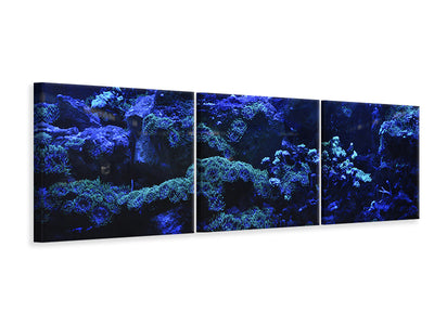 panoramic-3-piece-canvas-print-coral-reef-in-blue