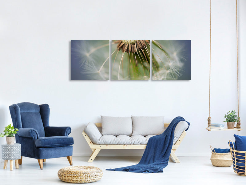 panoramic-3-piece-canvas-print-dandelion-close-up