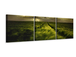 panoramic-3-piece-canvas-print-journey-to-the-fierce-storm