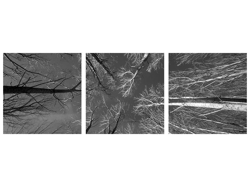panoramic-3-piece-canvas-print-ponto-de-fuga