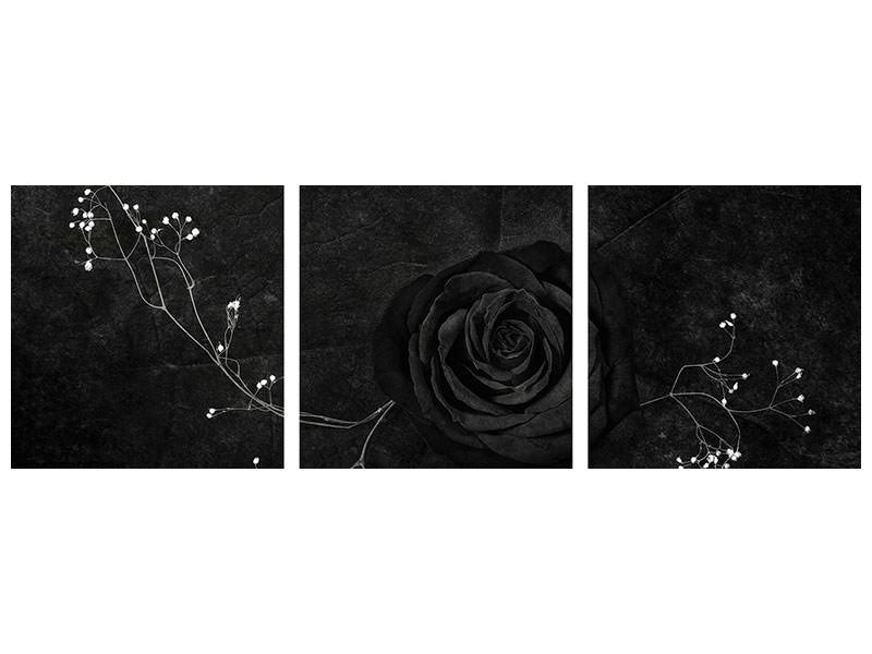 panoramic-3-piece-canvas-print-rose-noire