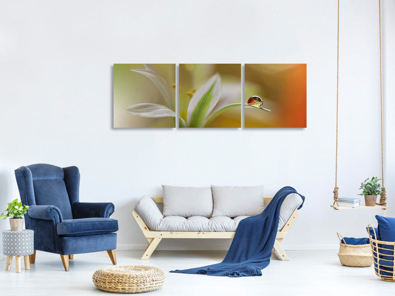 panoramic-3-piece-canvas-print-sound-of-colors